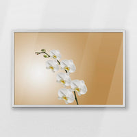 PW-093W062