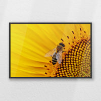 PB-060W040