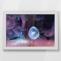 LWW030W020