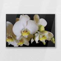 PB-120W080