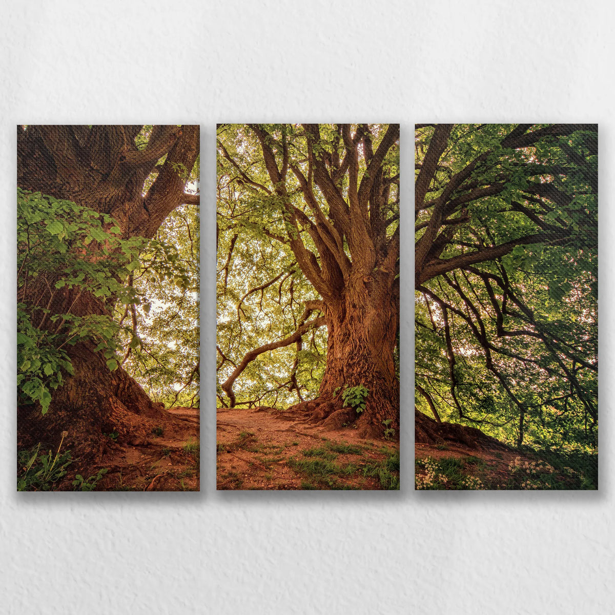 LW-090R060