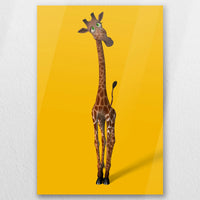 AC-050W075