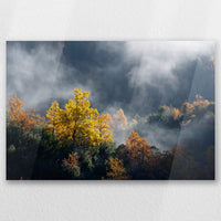 AC-045W030
