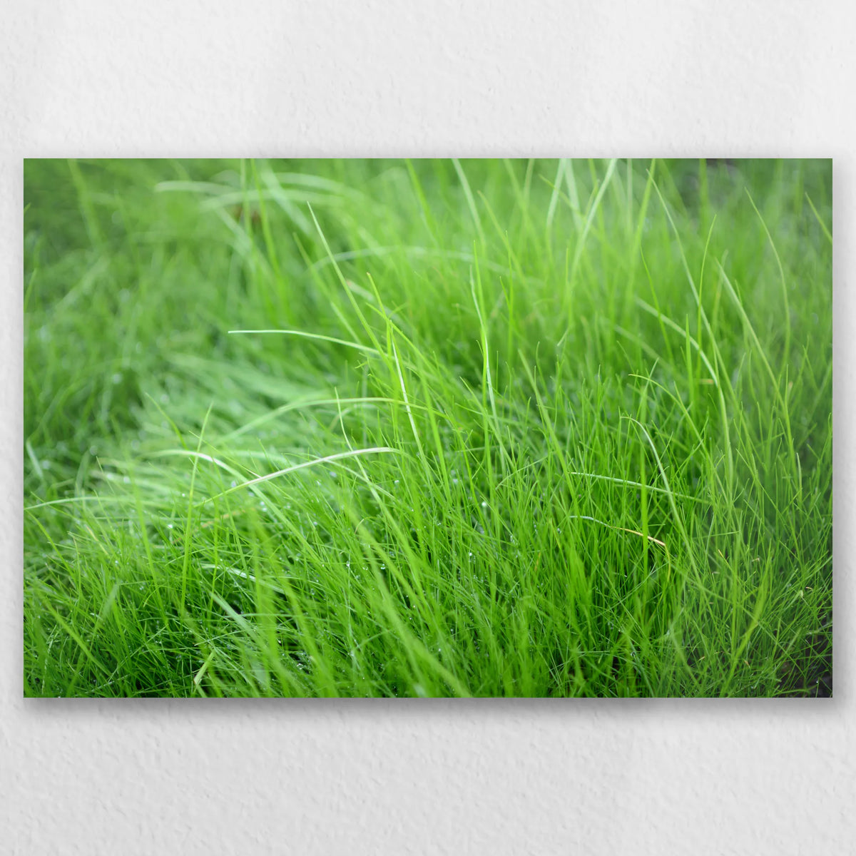 AL-060W040