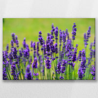 LW-045W030