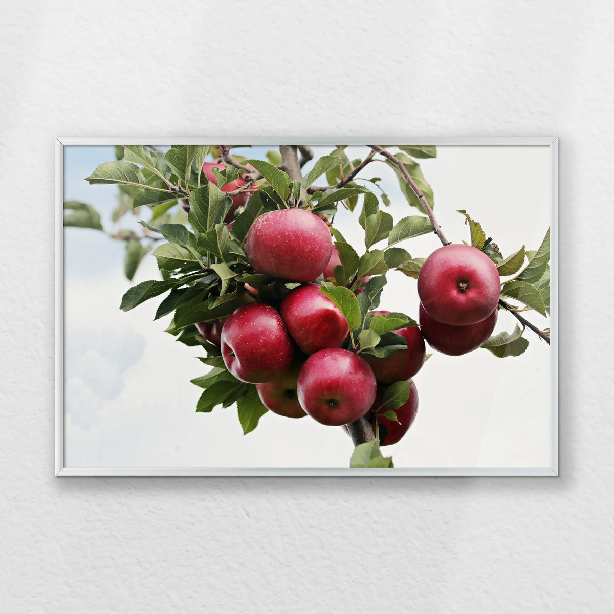 PS-060W040