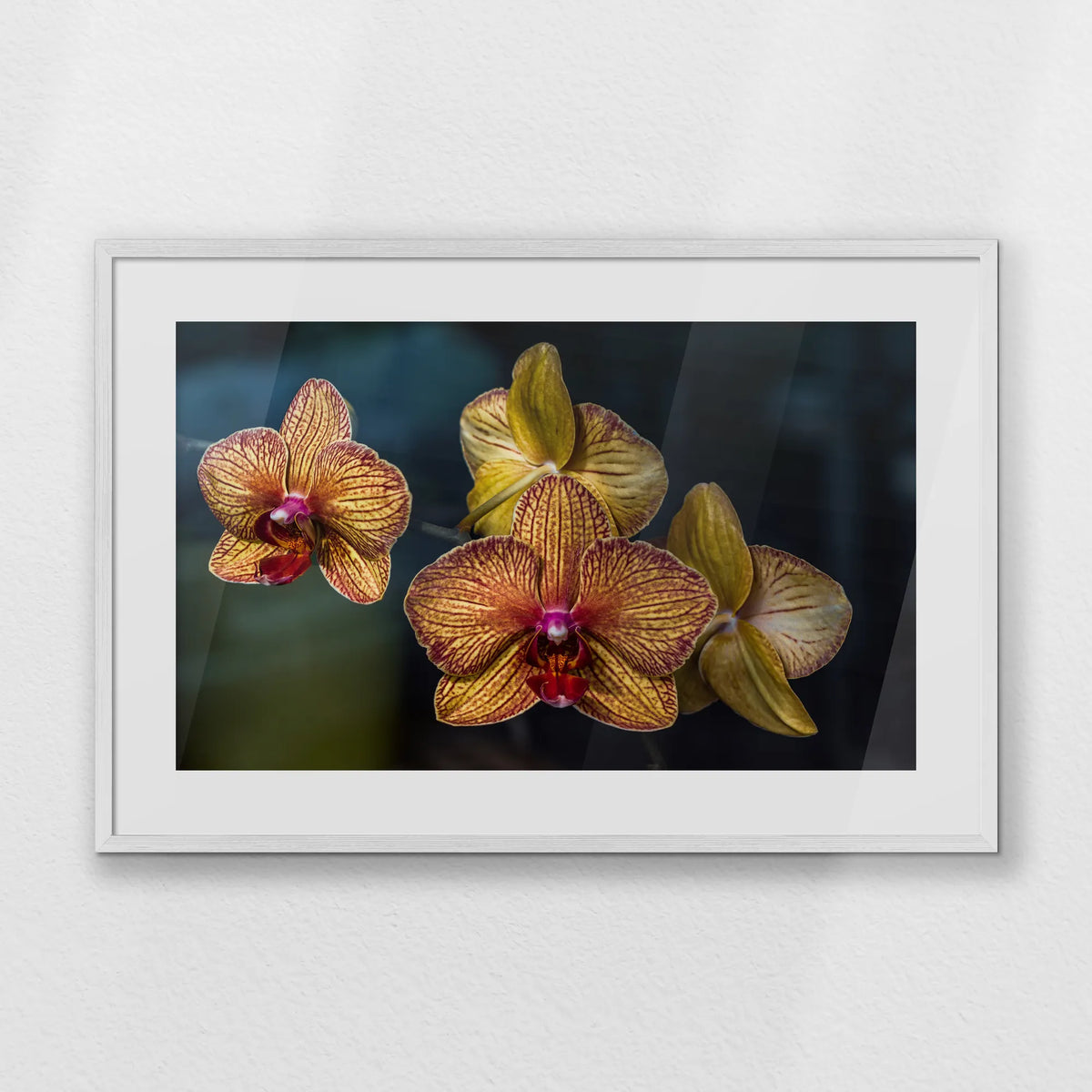 PWP093W062