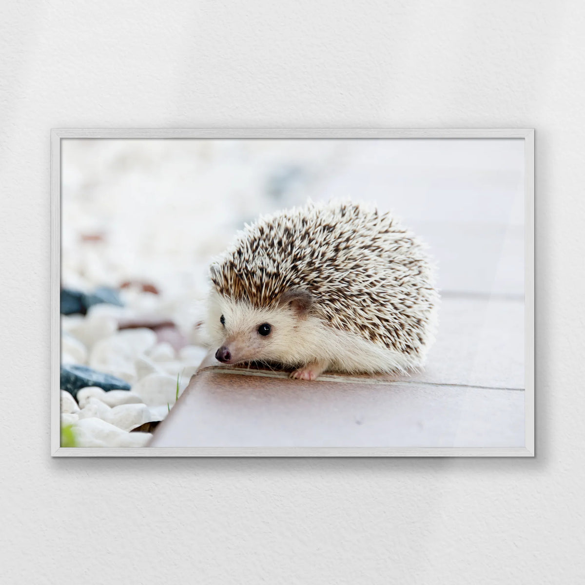 PW-093W062