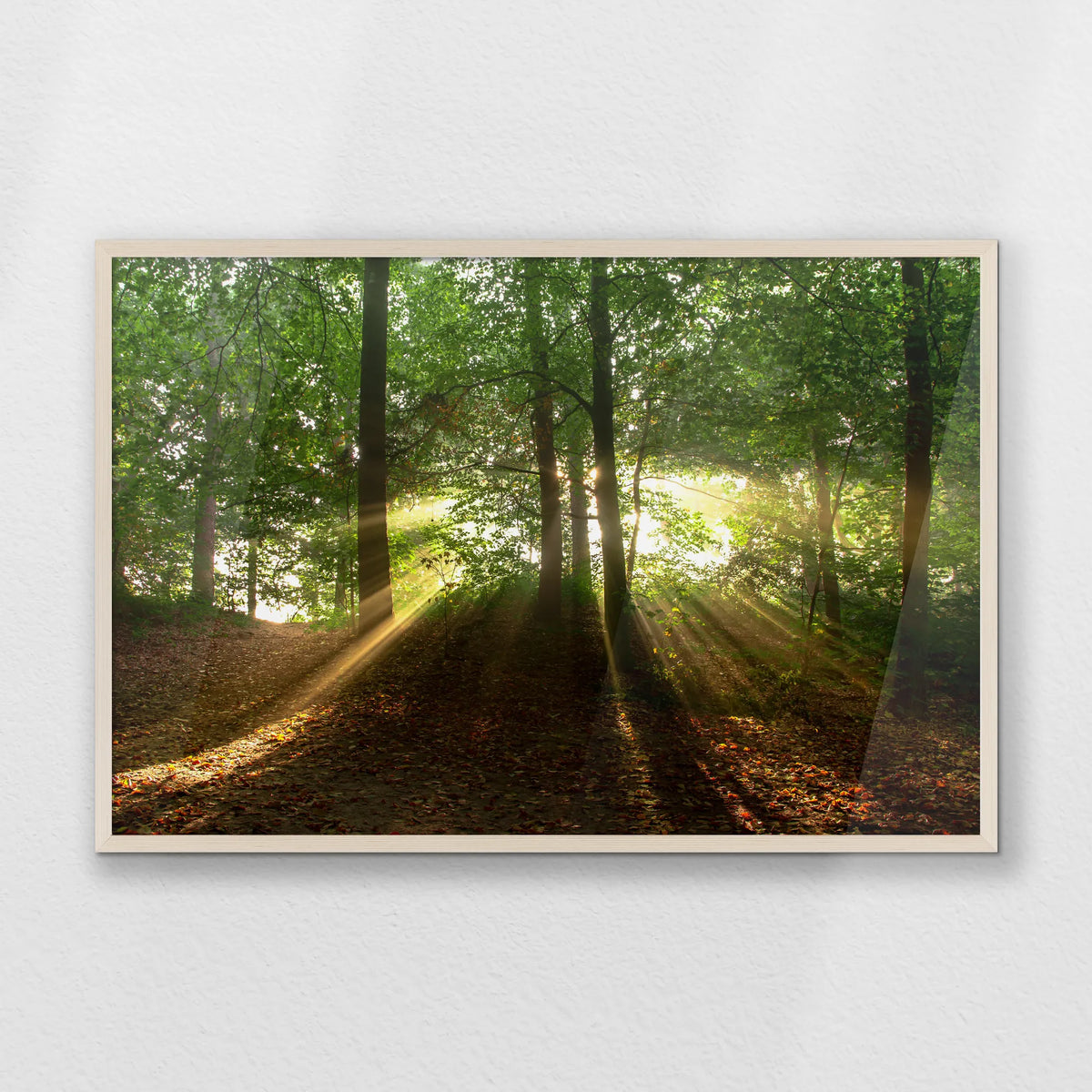 PN-093W062