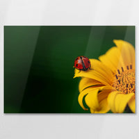 AL-090W060