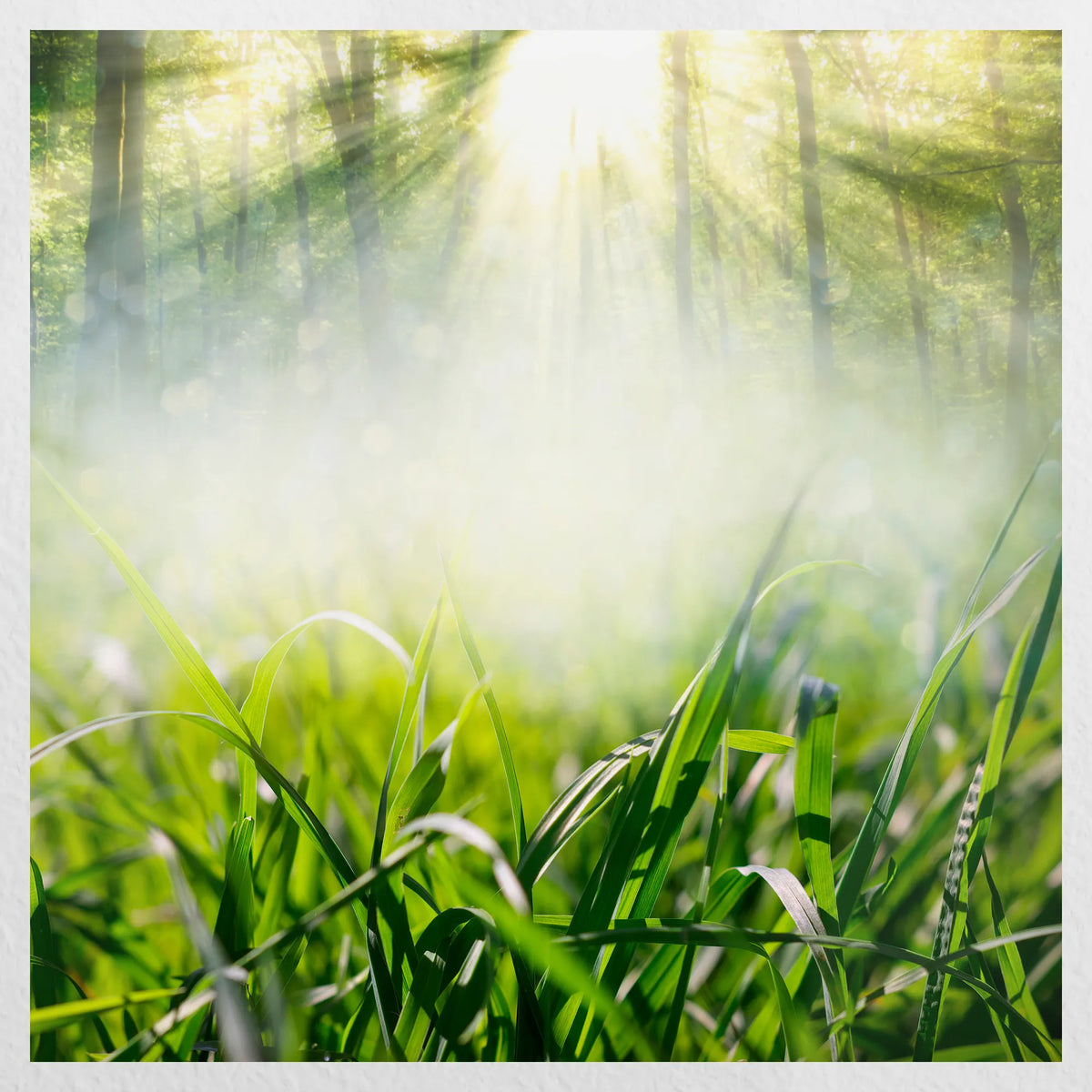 PO-040W040