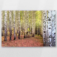 AL-045W030