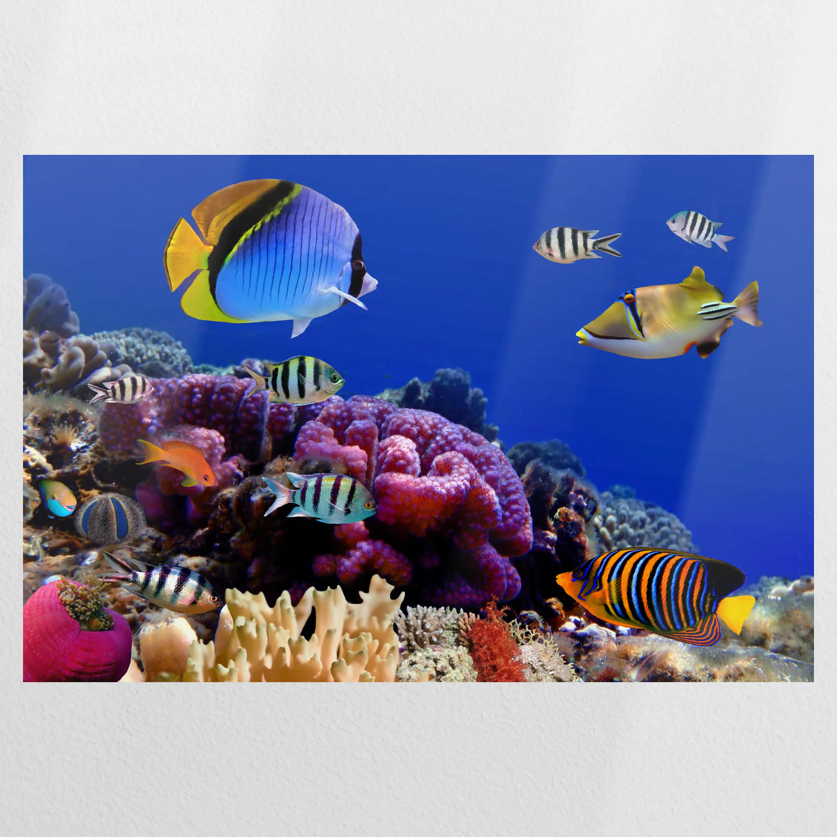 PO-075W050