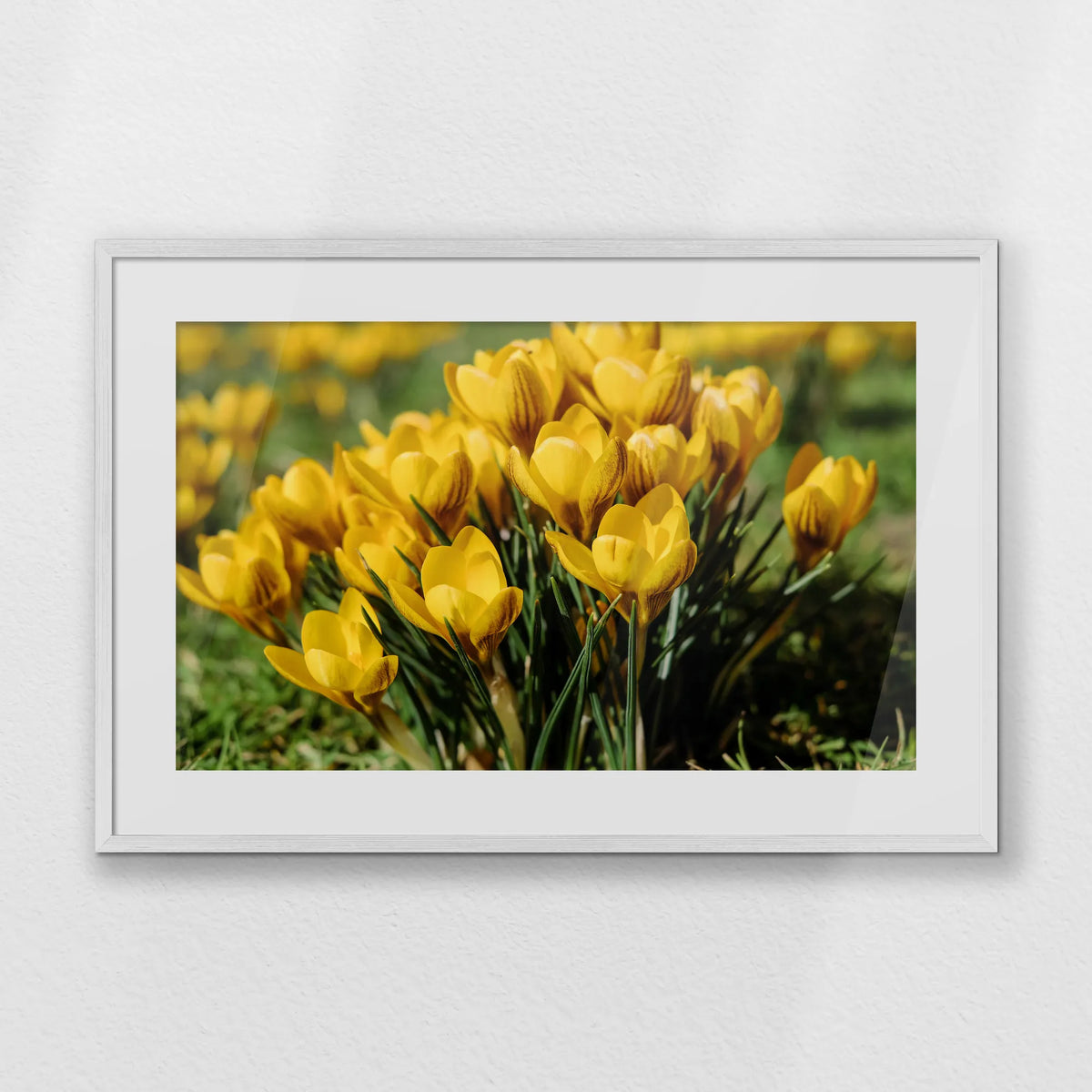 PWP093W062