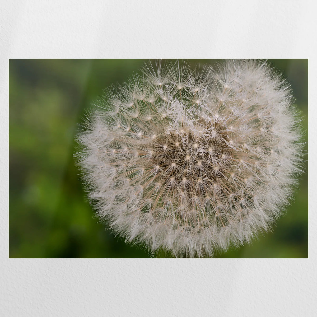 PO-075W050