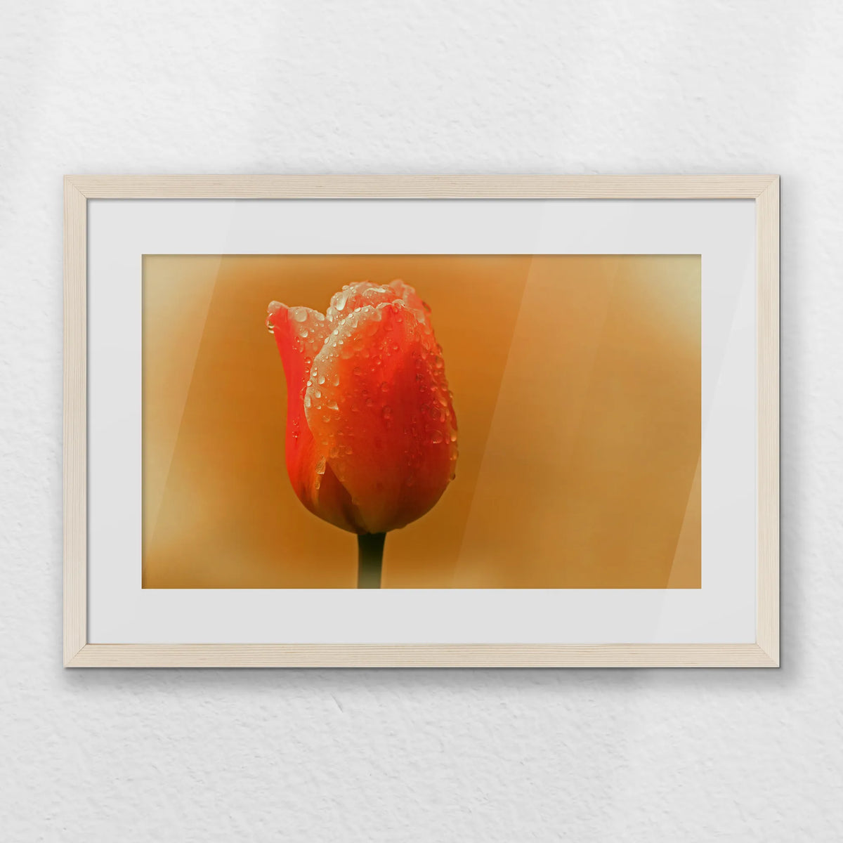PNP060W040