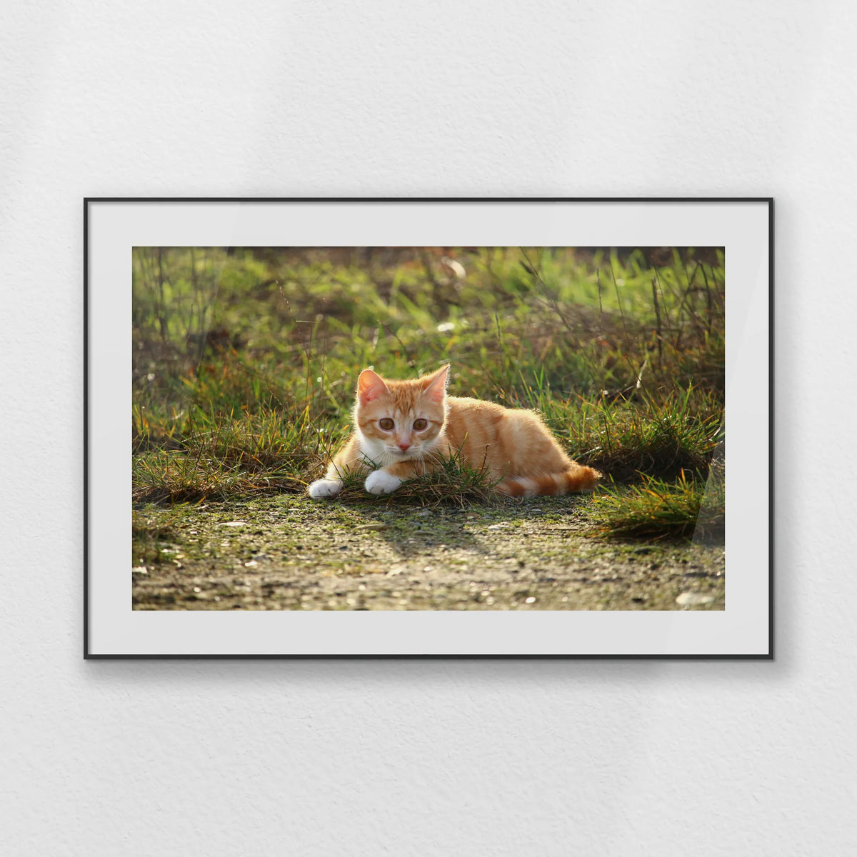 PBP120W080