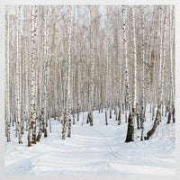 PO-090W090