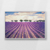 LWW120W080