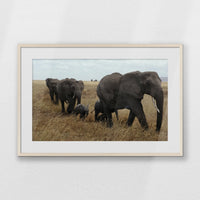 PNP093W062