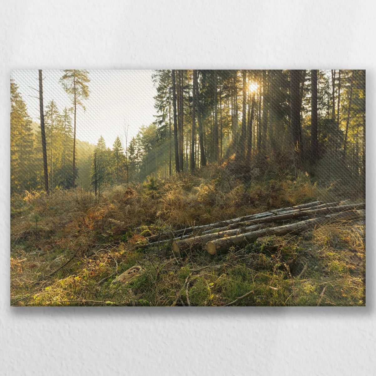 LW-045W030