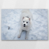 AL-030W020