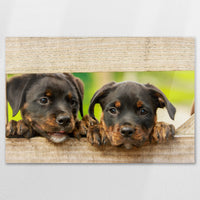 AC-120W080