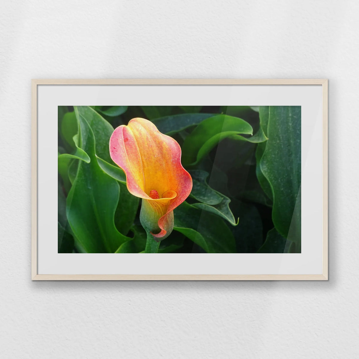 PNP093W062