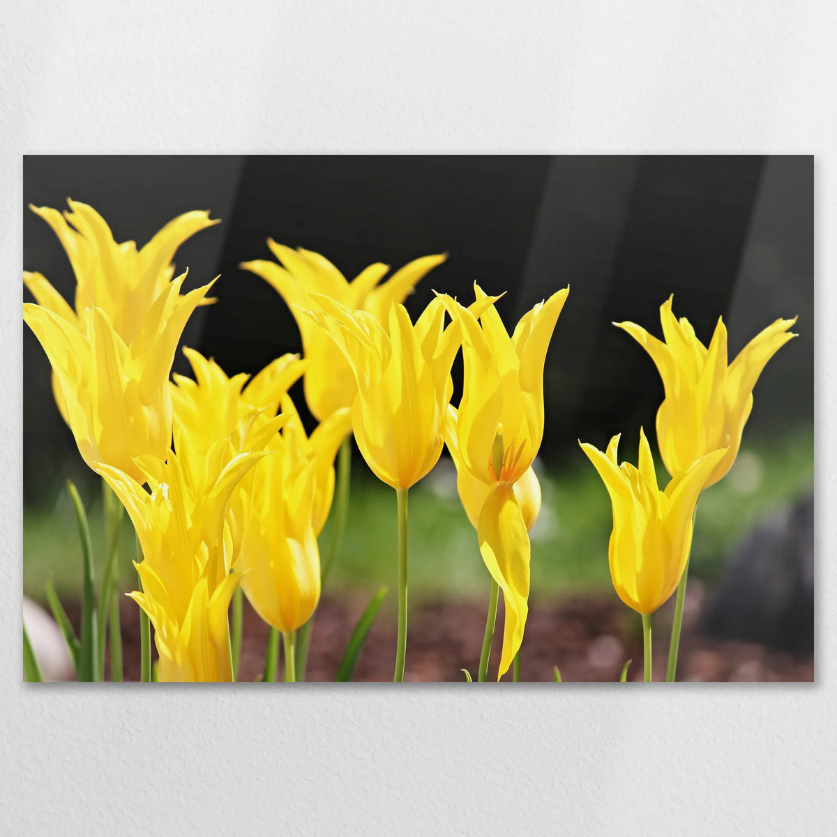 AL-120W080