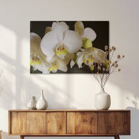 AL-075W050