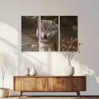 LW-210R140