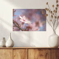 PO-045W030
