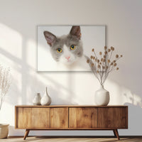 PS-093W062