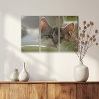 LW-060R040