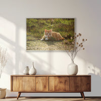PS-093W062