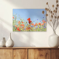 AC-045W030