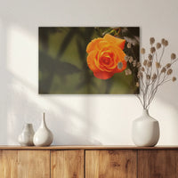AL-060W040