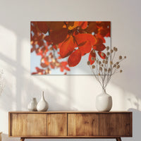 AC-075W050