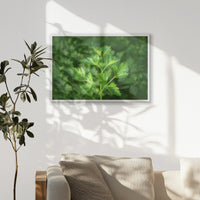 PW-093W062