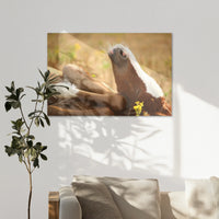 AL-120W080