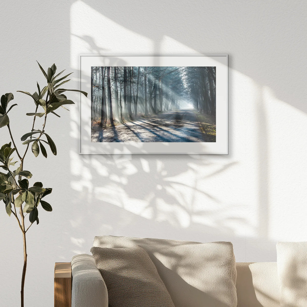 PSP093W062