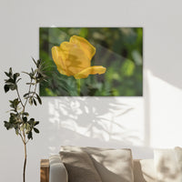 LW-120W080