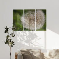 AC-150R100