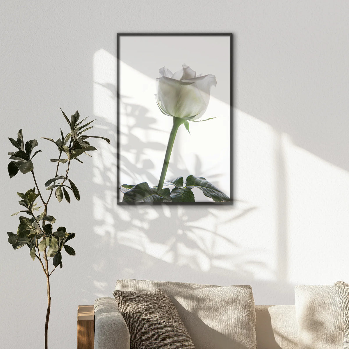 LWB080W120