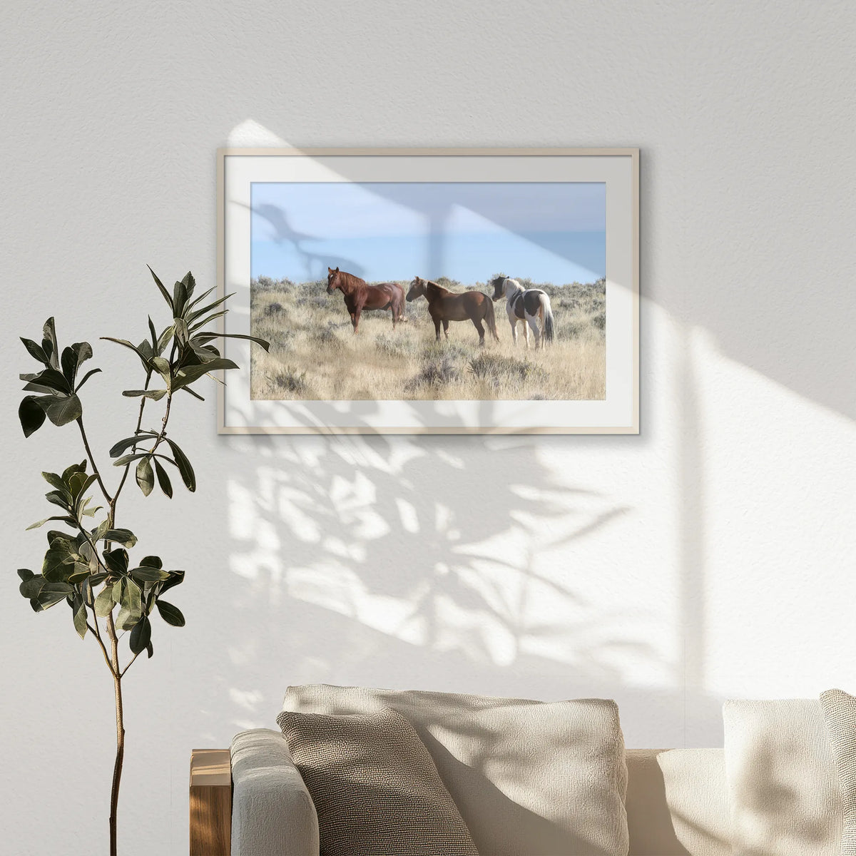 PNP100W070