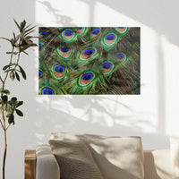PO-045W030
