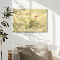 LW-030W020