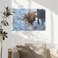 PO-030W020