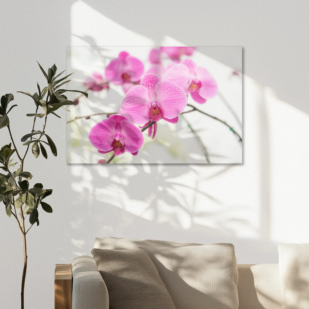 AC-075W050