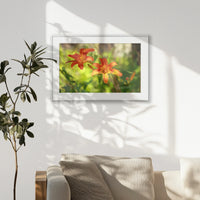 PSP093W062
